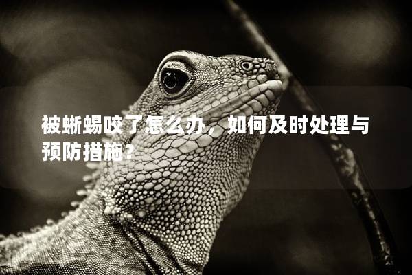 被蜥蜴咬了怎么辦，如何及時處理與預防措施？